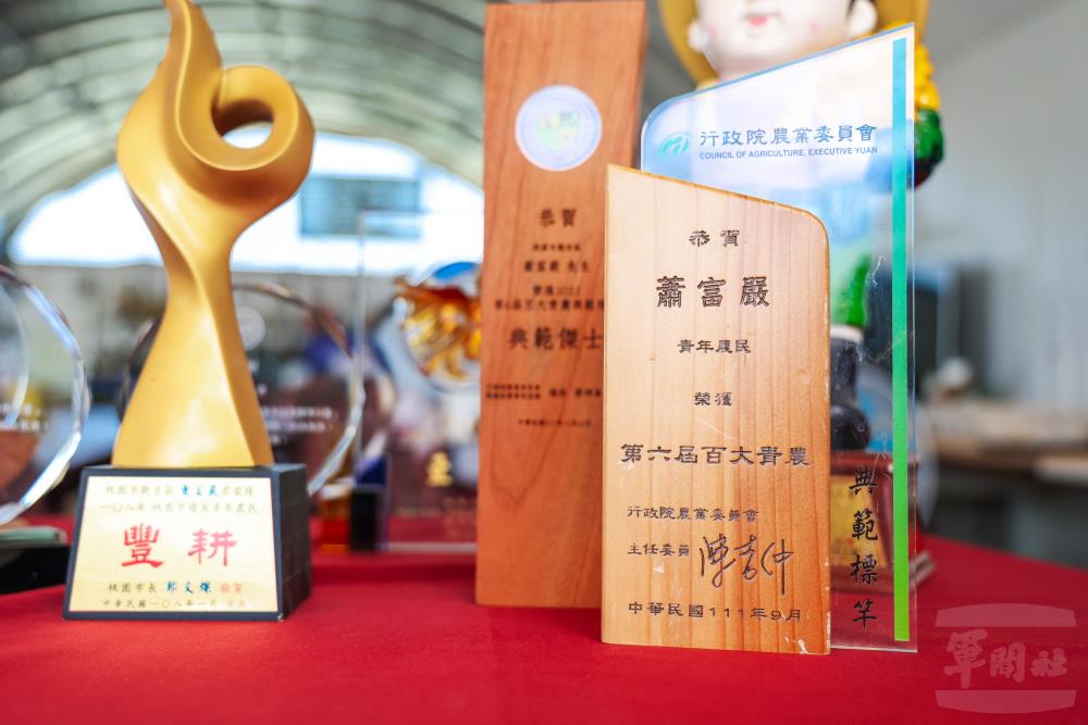 蕭富嚴榮獲第6屆百大青農標竿的獎項肯定。（軍聞社記者周昇煒攝）