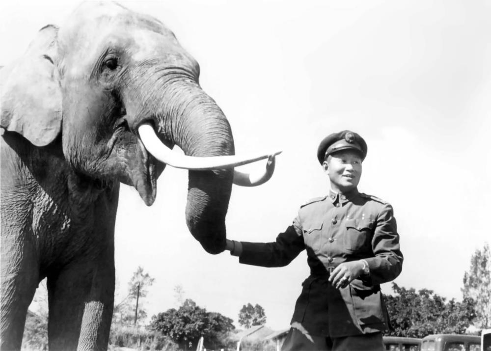 孫立人將軍與大象林旺在陸軍官校。（民國39年，羅超群攝影，羅廣仁提供。）